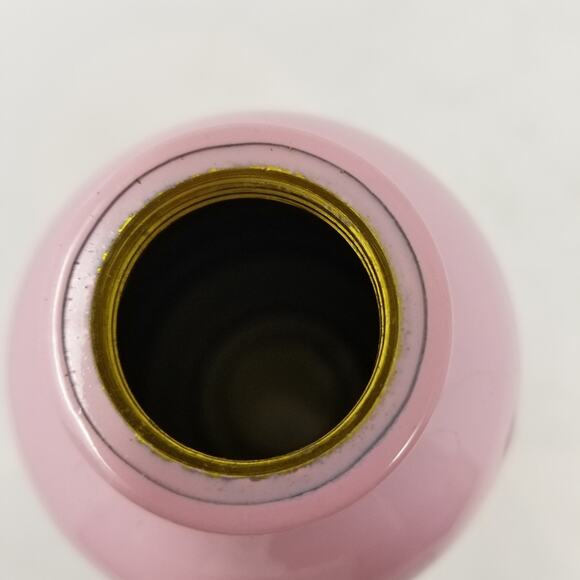 Oggi Pink Aluminum Water Bottle Gift For Runner Lightweight East to Carry Sz 9x3 - Picture 5 of 6